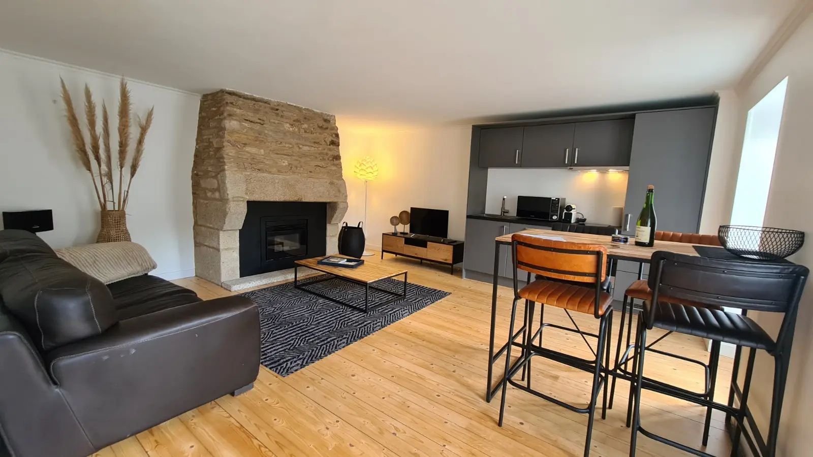 Photos n°2 salon séjour cuisine