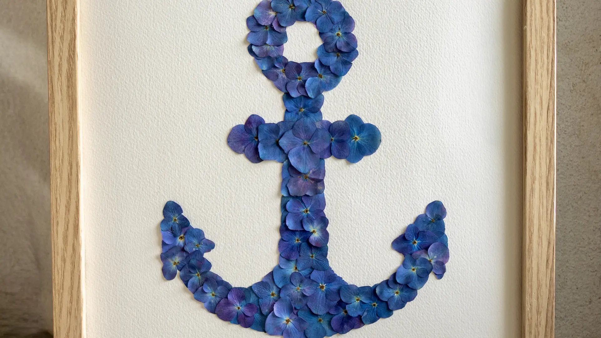 Photo 6 Herbiers Iodés