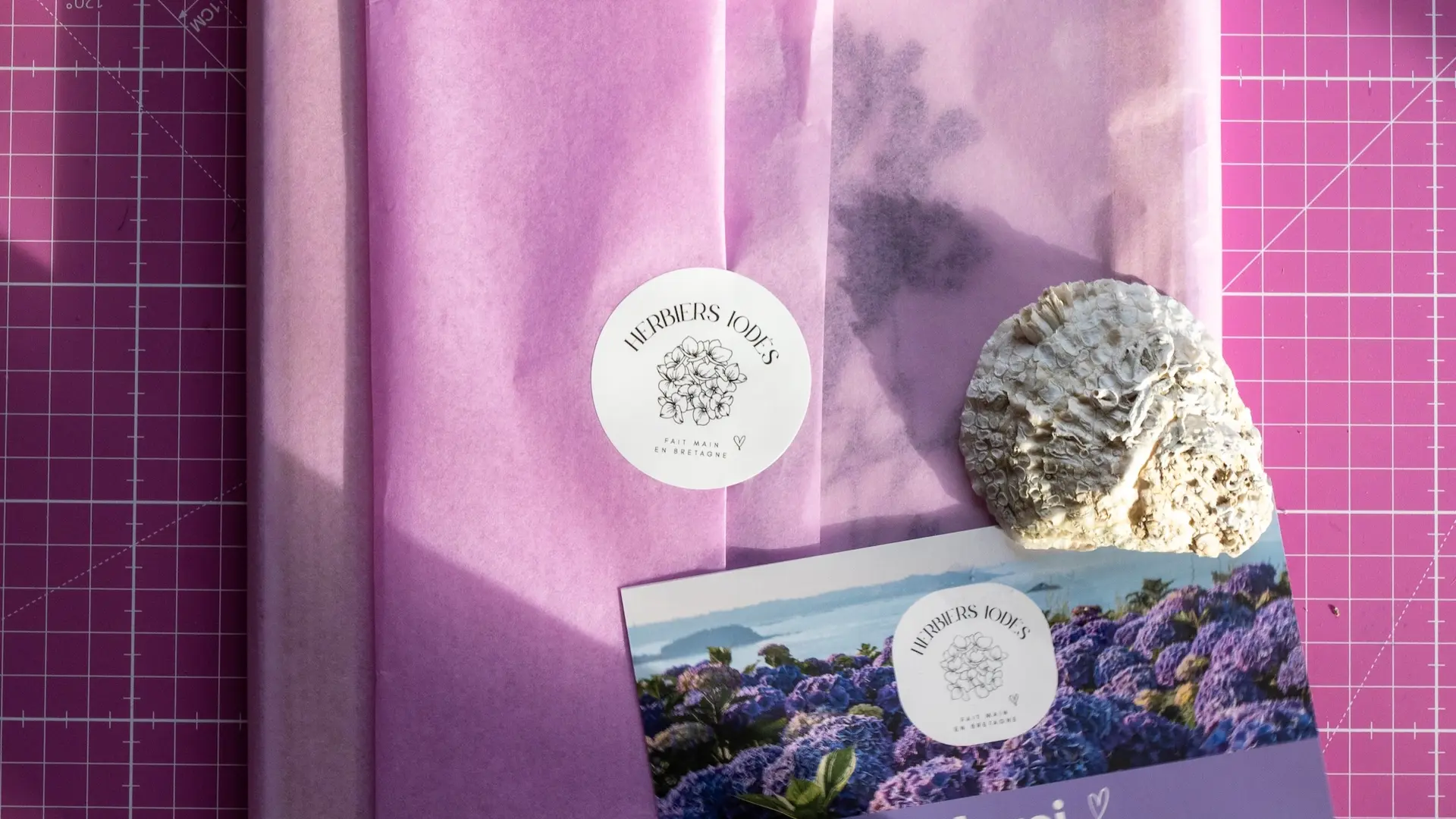 Photo 10 Herbiers iodés