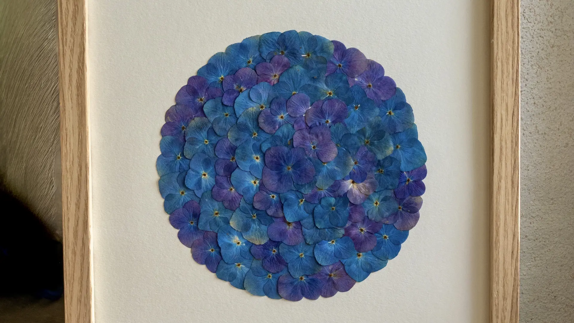 Photo 3 Herbiers Iodés