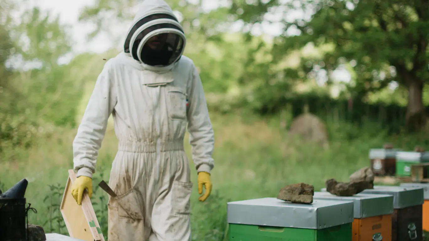 Melli'Malo - Miniac-Morvan