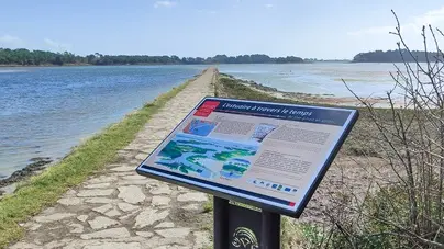 Circuit le halage - Pont-l'Abbé - Pays Bigouden