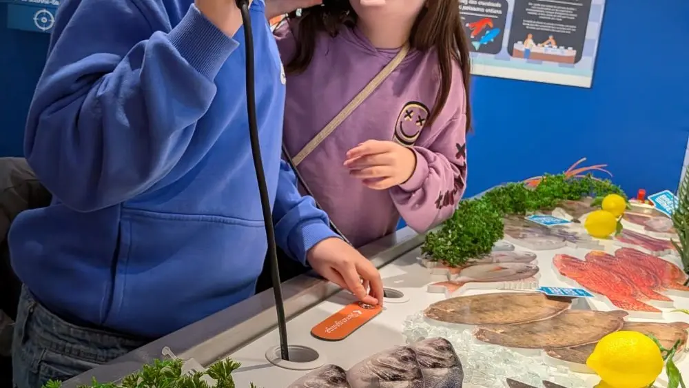 Haliotika - Guilvinec - Pays bigouden