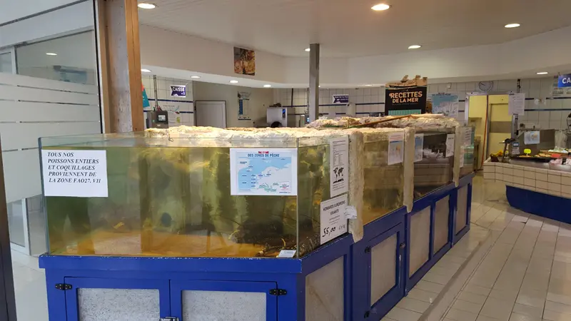 La poissonnerie du port - Guilvinec - Pays Bigouden - Bigoudenjoy