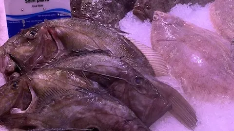 Poissonnerie Salaun 1