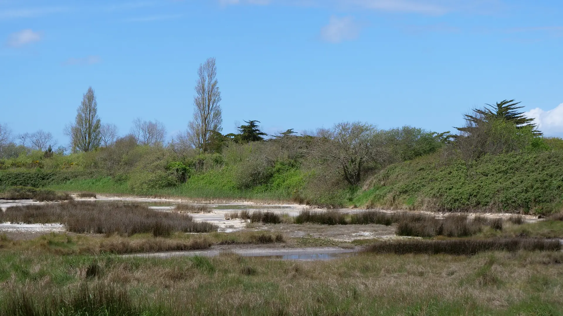 Polder de Combrit - Balade de Steven - Pays Bigouden - Bigoudenjoy