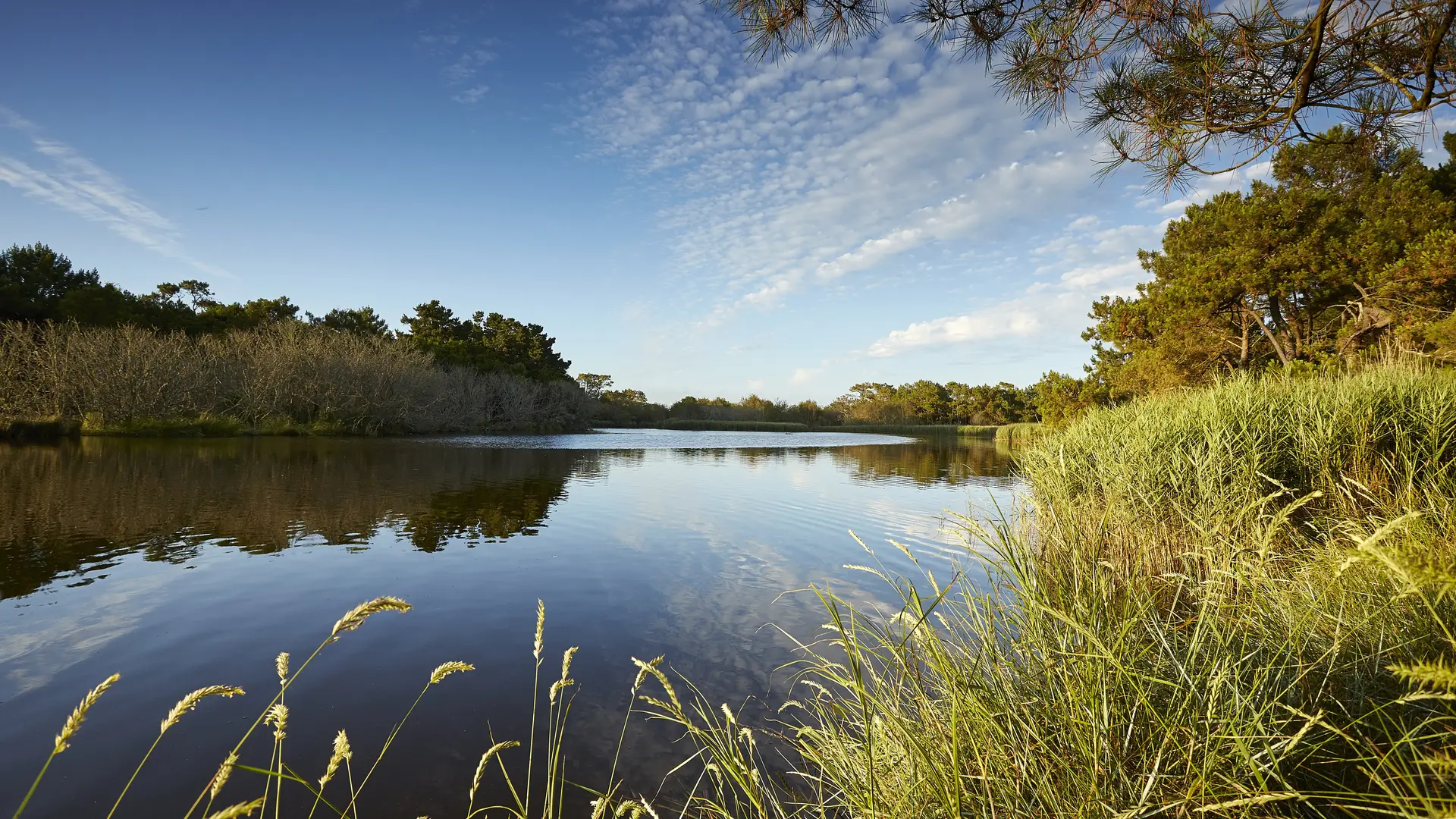 Polder-de-Mousterlin
