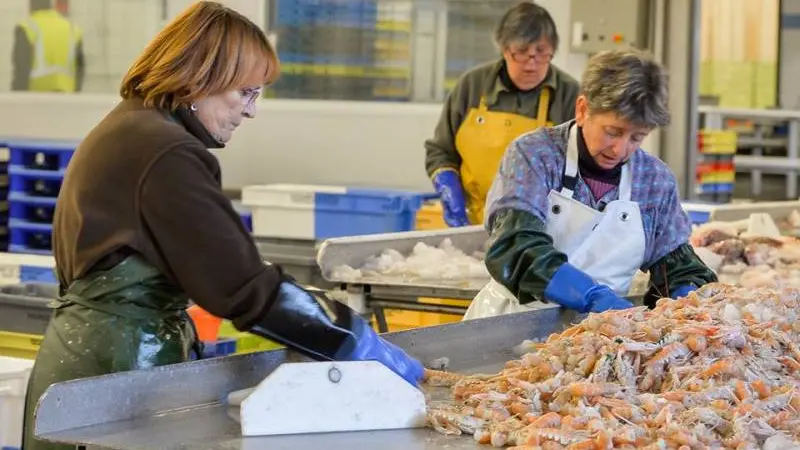 Port de pêche de Saint-Guénolé Pays Bigouden sud