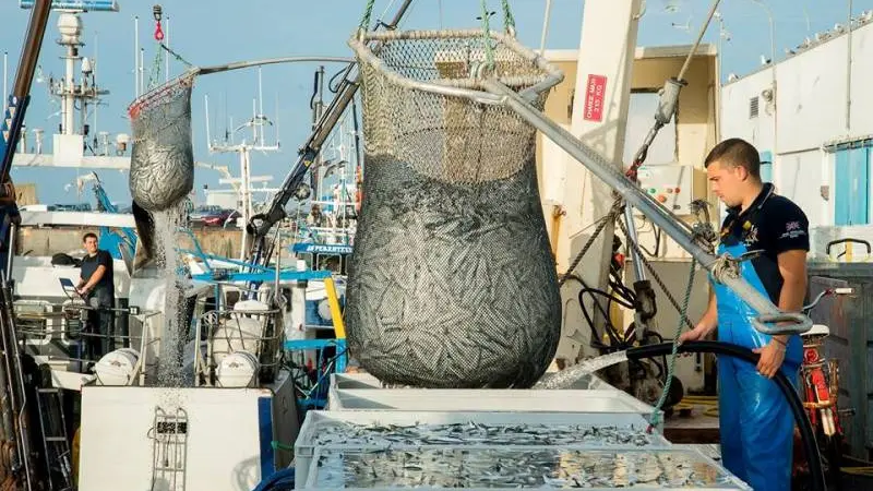 Port de pêche de Saint-Guénolé Pays Bigouden sud