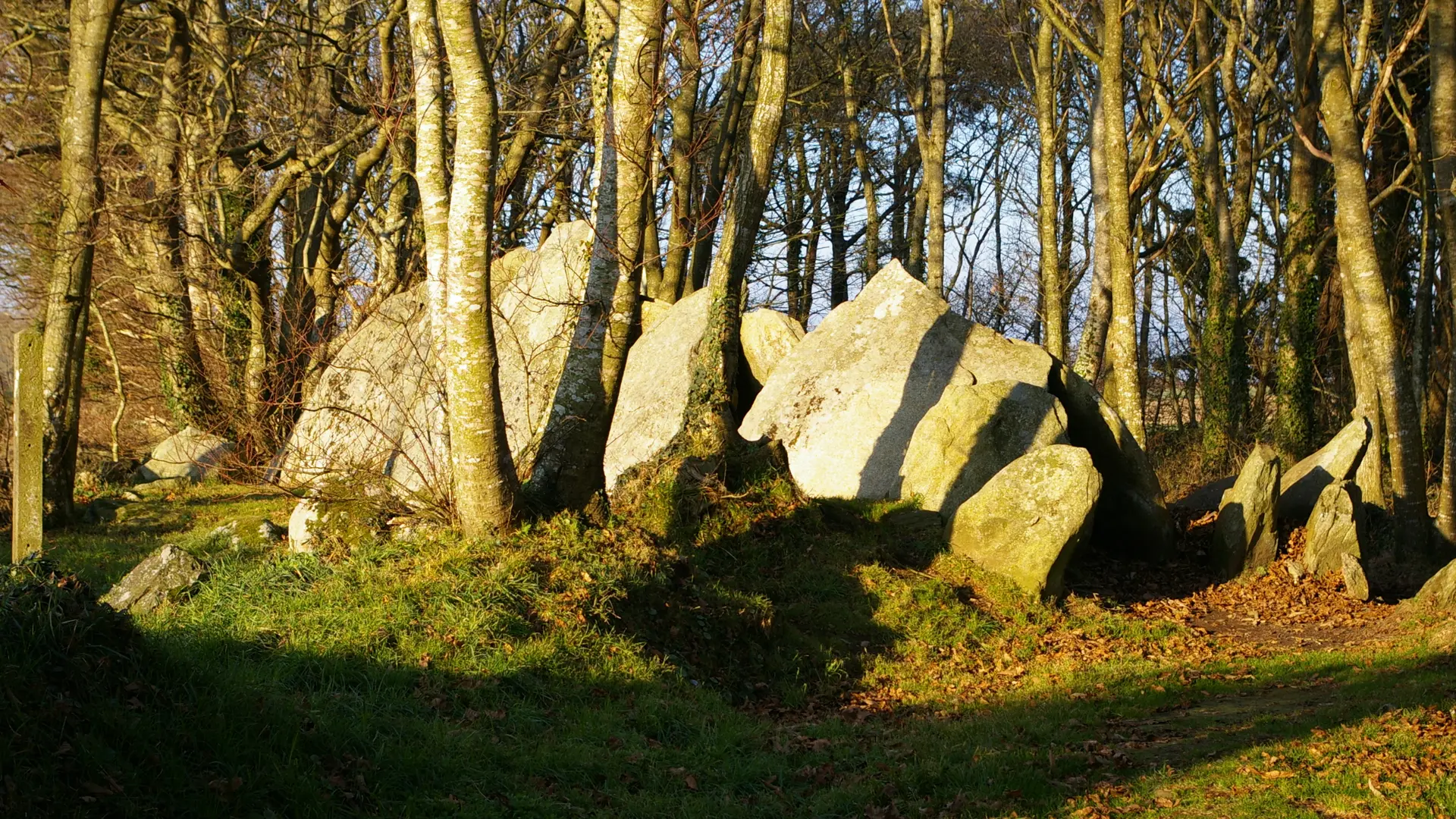Poullan-sur-Mer - allée couverte de Lesconil