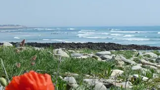 Plage de Kerrest - Plozevet - Pays Bigouden-1