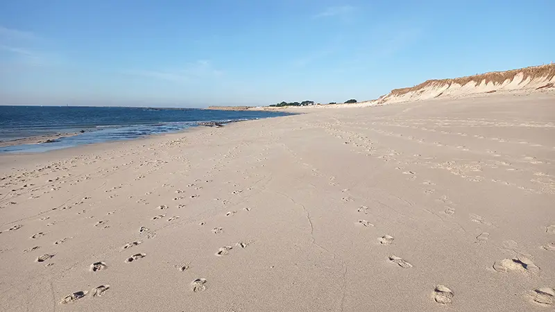 Plage de Squividan - Treffiagat - Pays Bigouden Sud