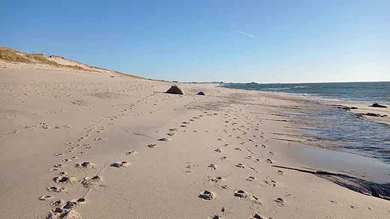 Plage de Squividan - Treffiagat - Pays Bigouden Sud