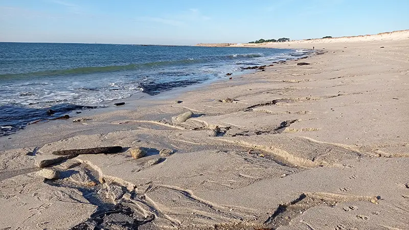 Plage de Squividan - Treffiagat - Pays Bigouden Sud