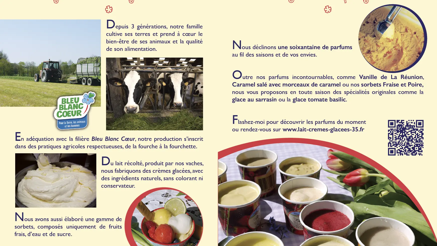 Lait crème et glace à Sains