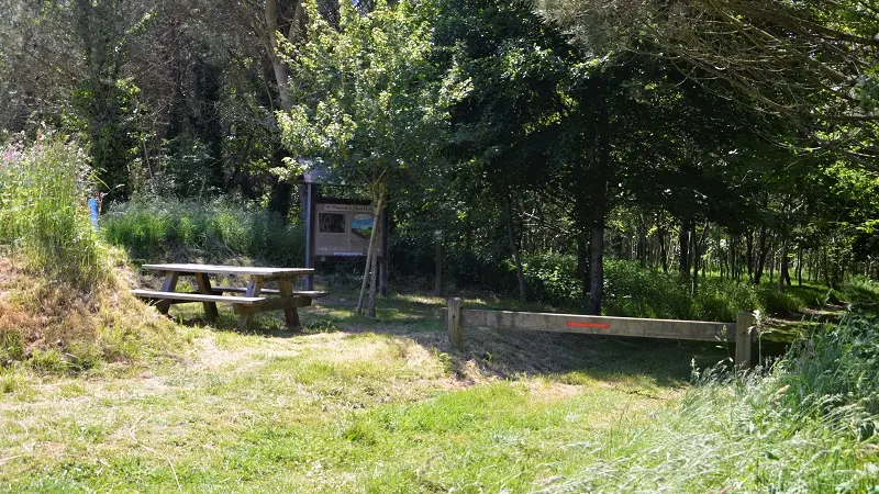 Promenade Saint Ronan - plozevet-©Margaux Hamel  (1)