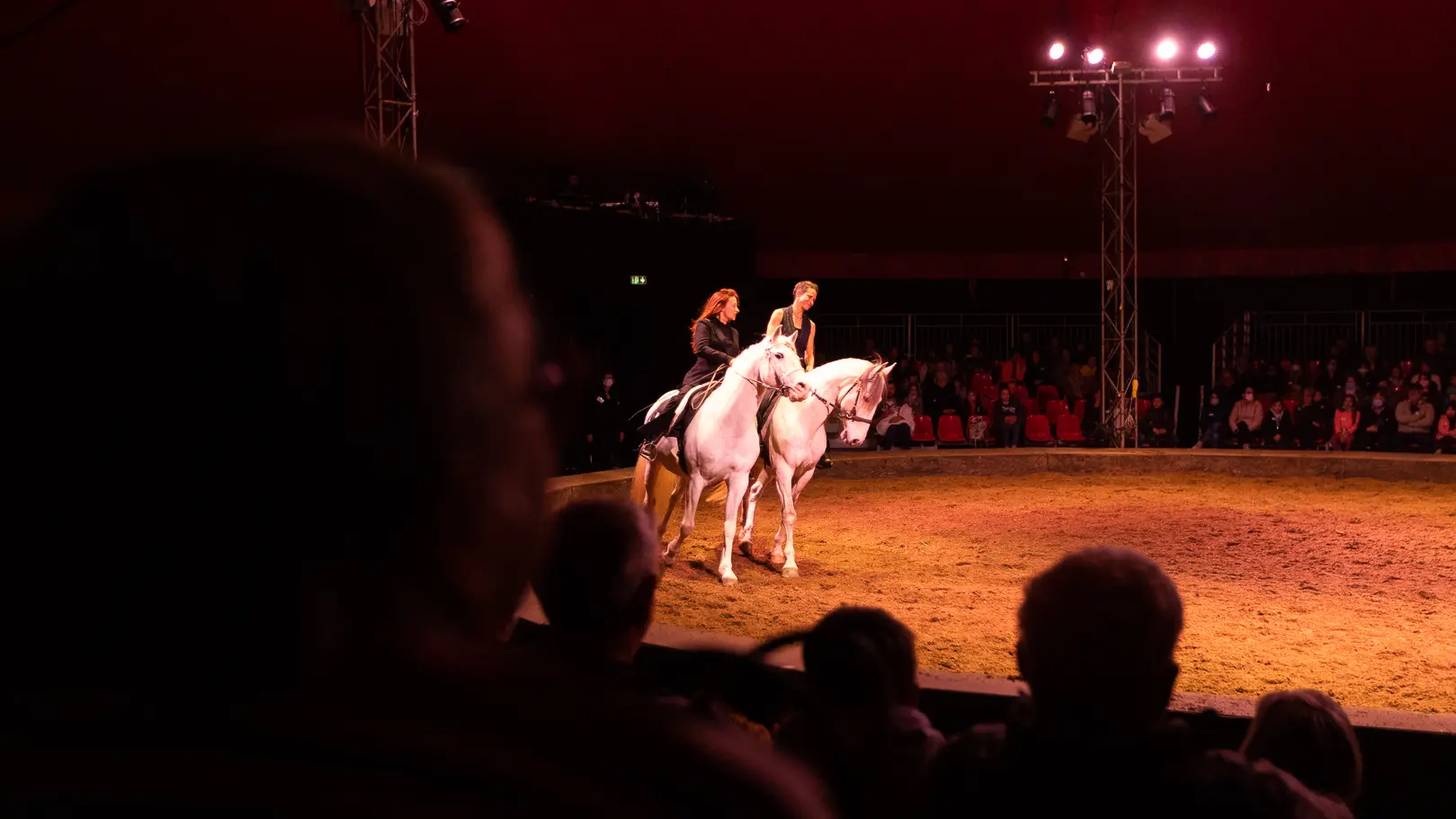 QAPTURxSellor_Haras Hennebont-57