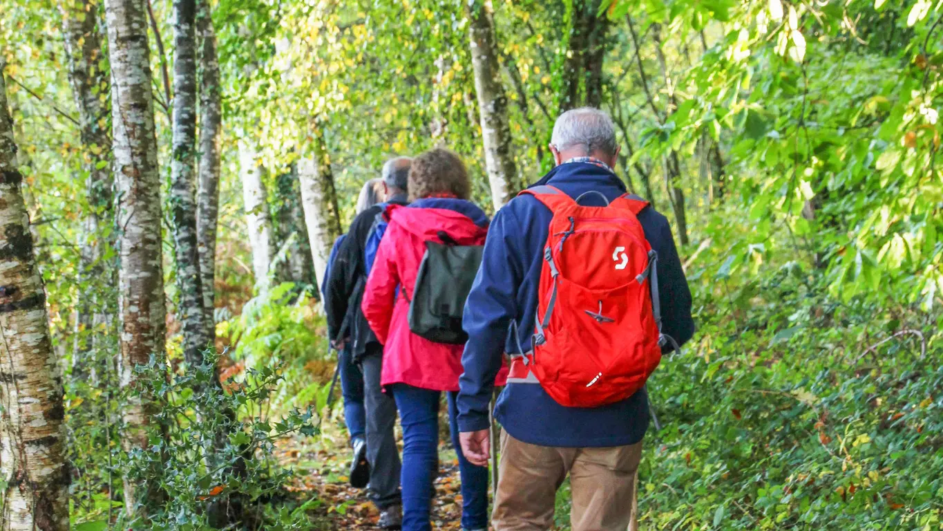 ©SMBMSM - Forêt du Mesnil