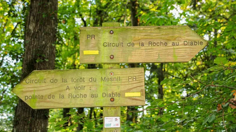Flèche Forêt du Mesnil