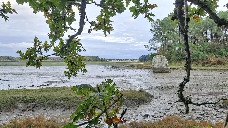 Rando Laez Ar Barrez - Loctudy - Pays Bigouden