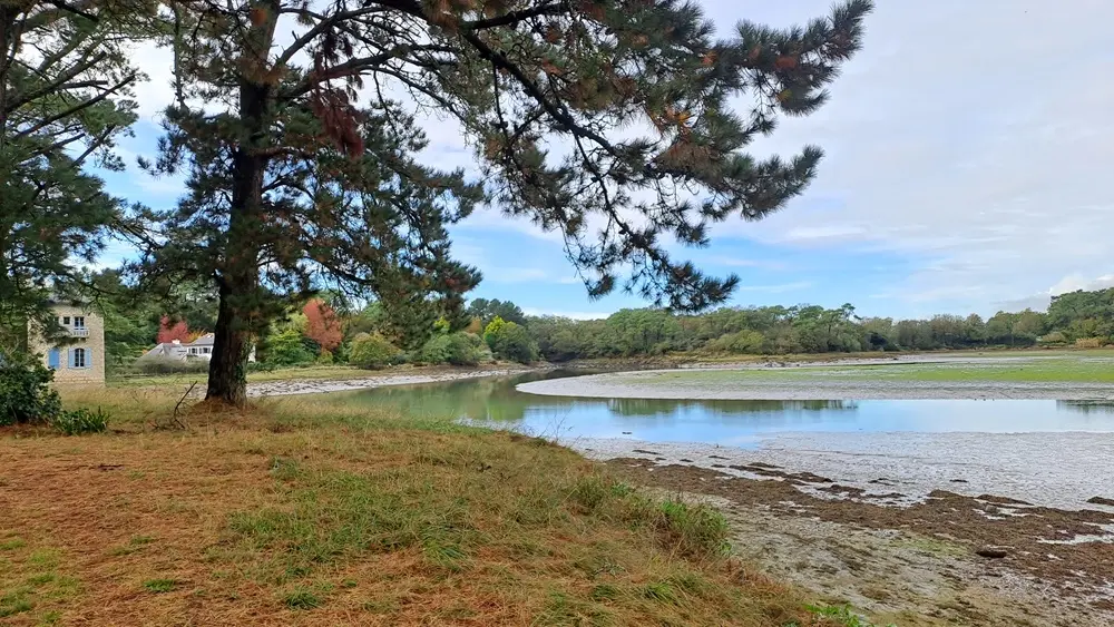 Rando Laez Ar Barrez - Loctudy - Pays Bigouden