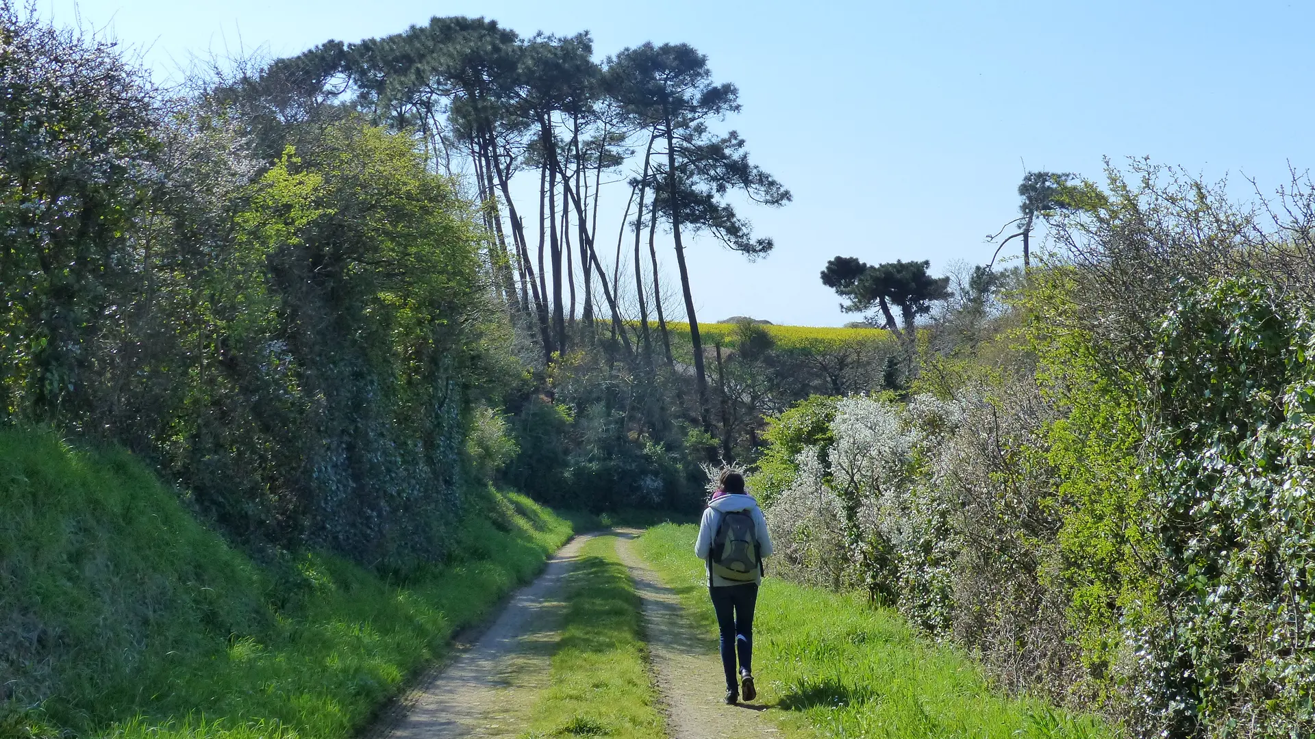 Circuit Etang de Trunvel - Tréguennec - Pays Bigouden