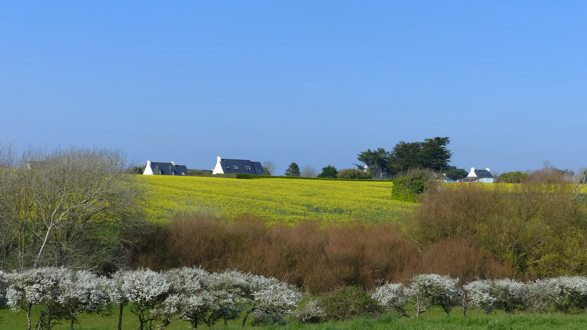 Circuit Etang de Trunvel - Tréguennec - Pays Bigouden