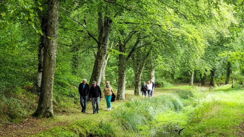 Rigole de Boulet2 ©Rodolphe Marics