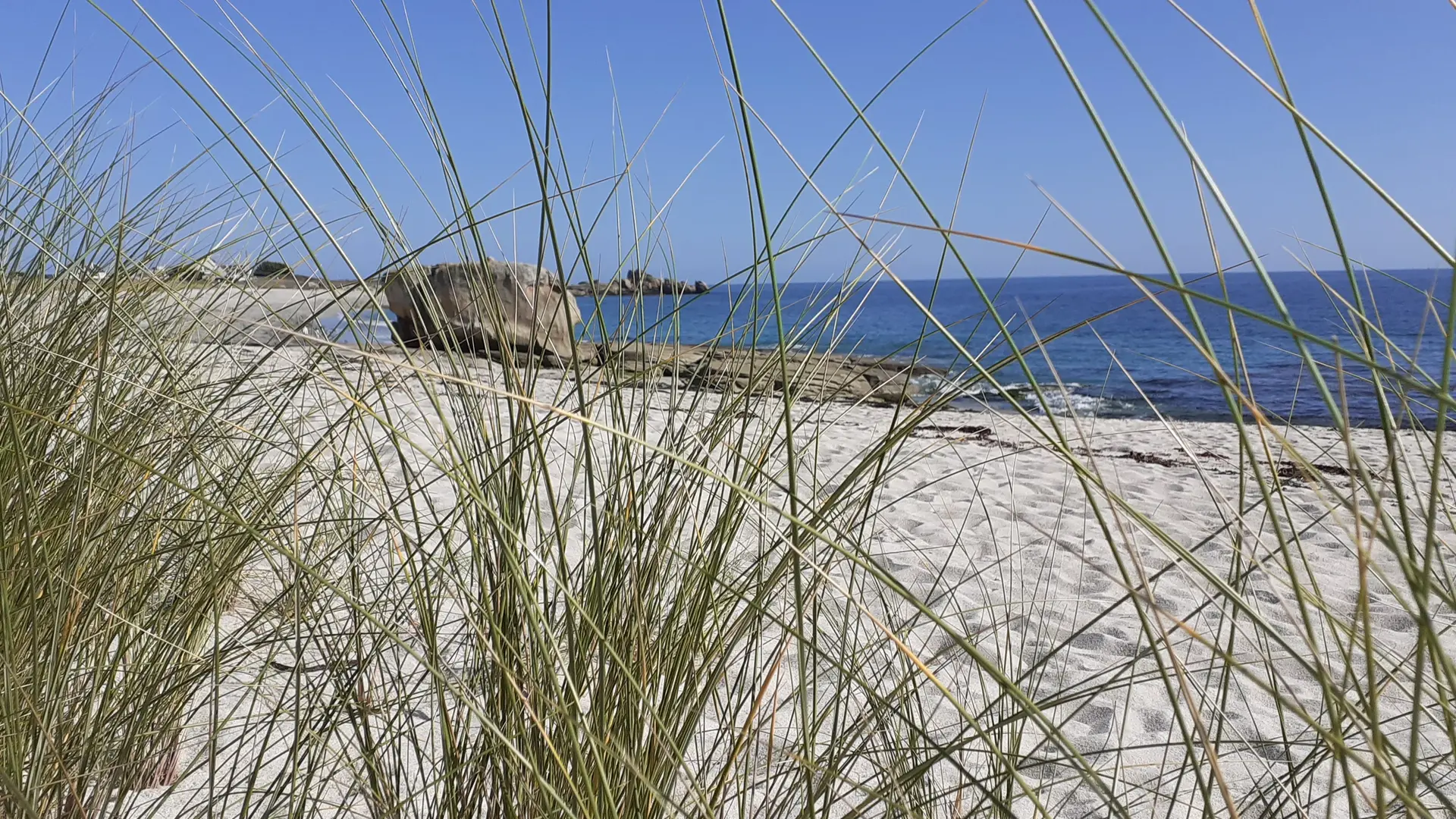 Ahimsa-Bien-Être - Bretagne - Lesconil - Pays Bigouden - Bigoudenjoy