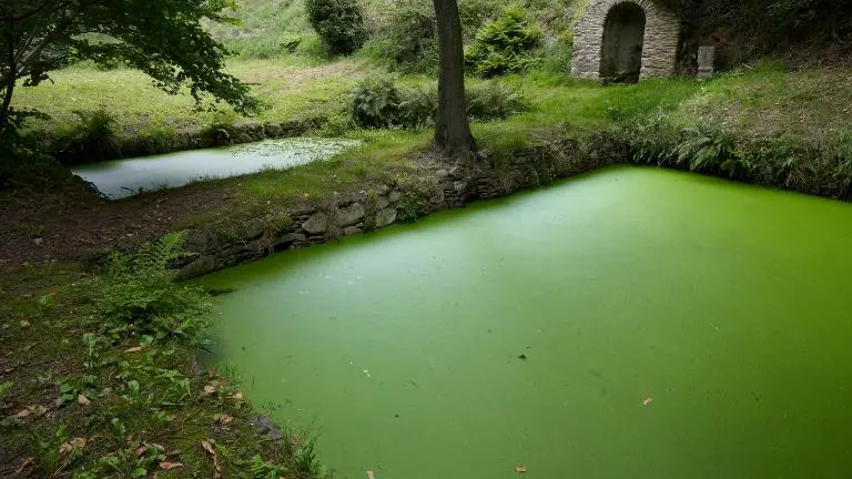 Routoirs de Convenant Diuzet Hengoat