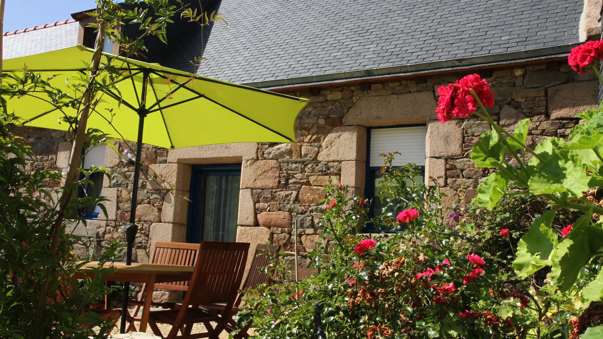 Run ar Marec Myosotis 3