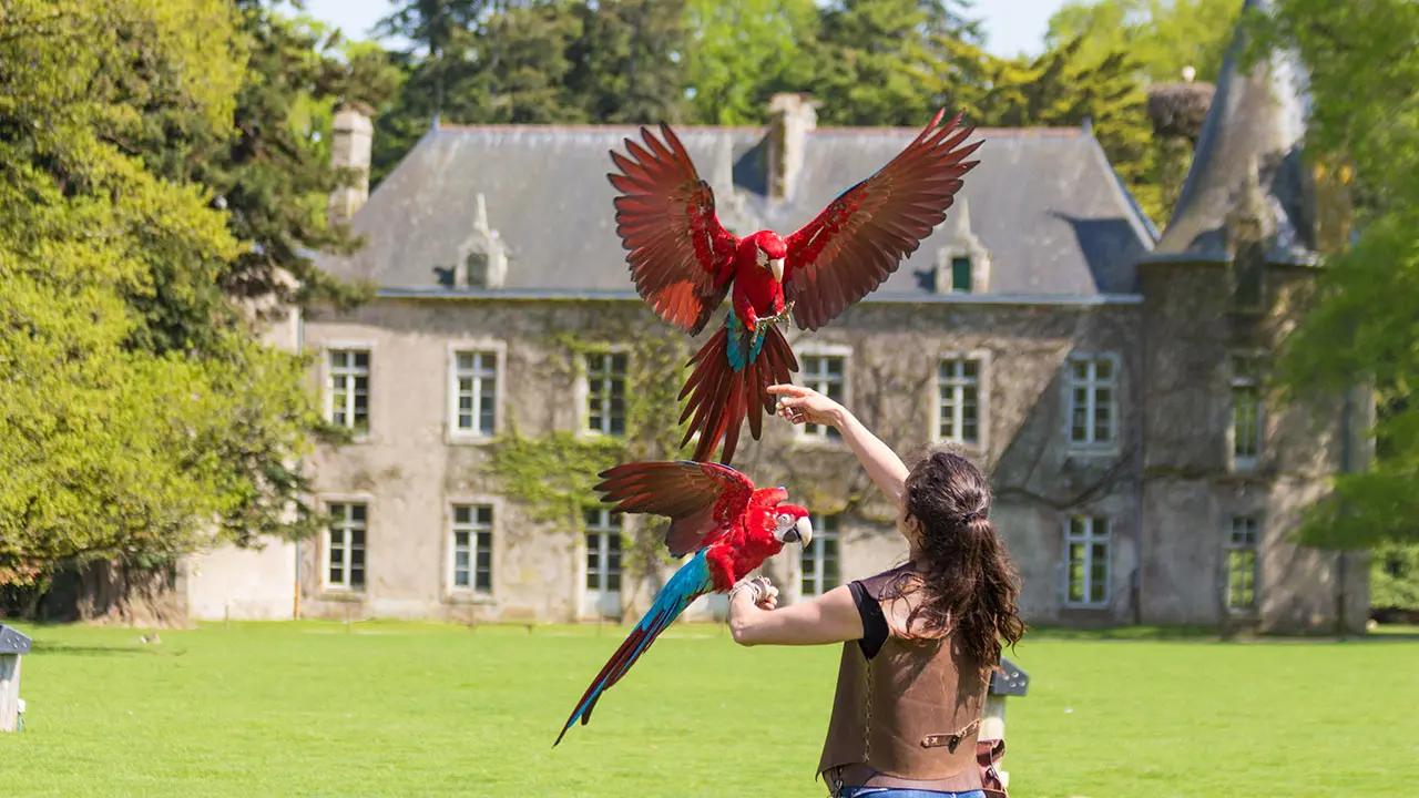 SO-©M.Bernard-Chabrier web