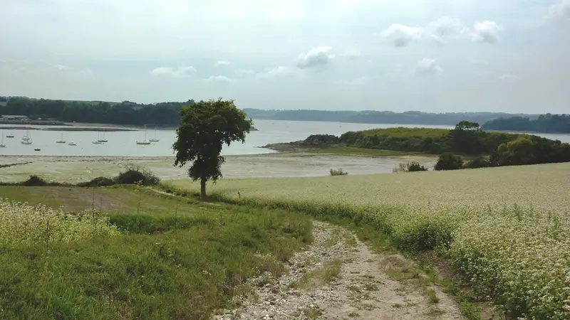 Saint-Jouan-des-Guérets ©OTSMBSM