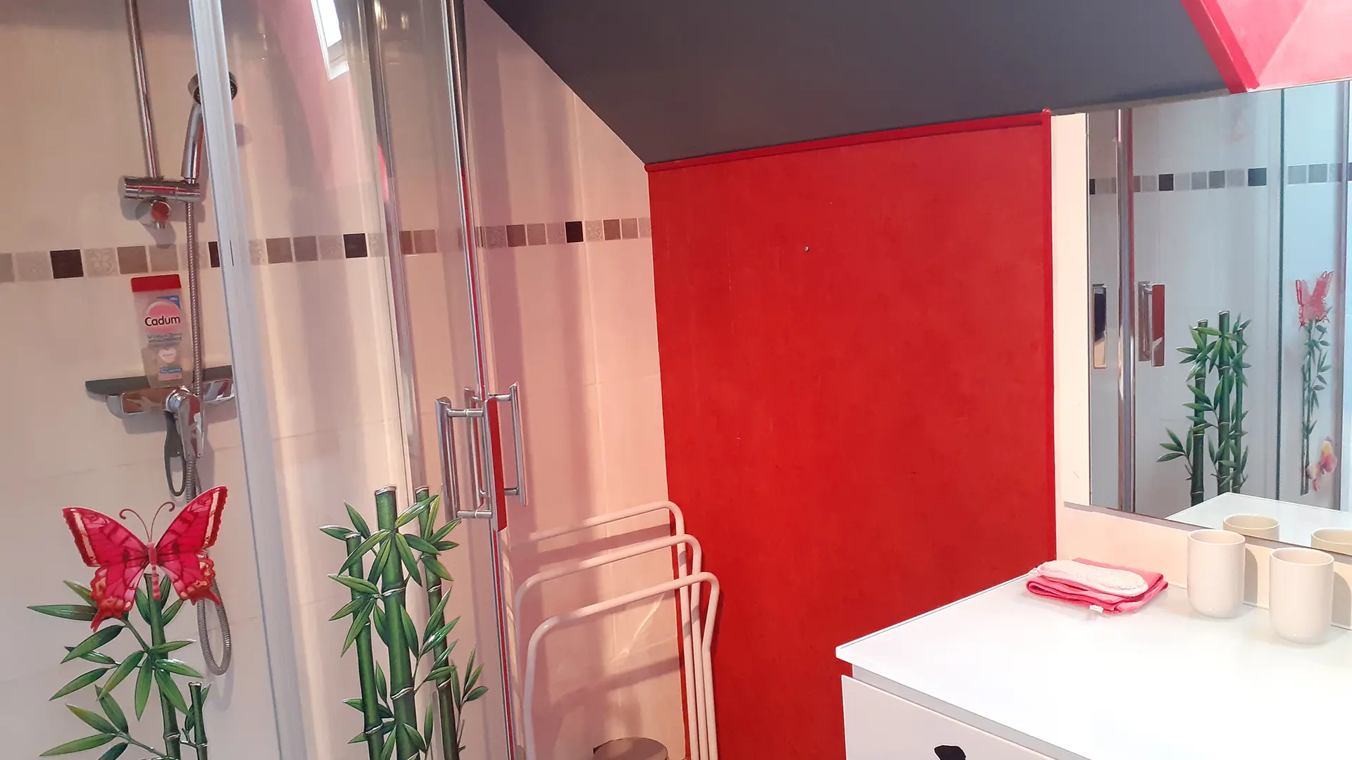 Salle d'eau chambre 5