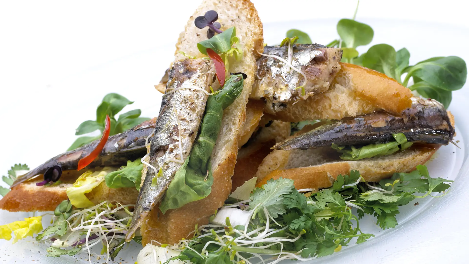 Sardines