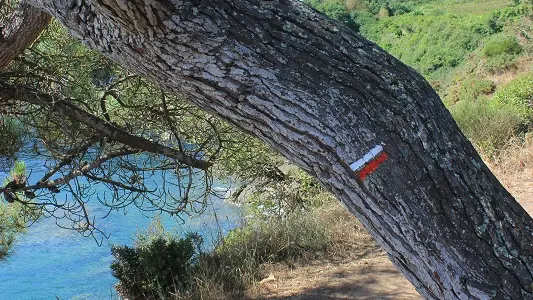 Sentier des Douaniers