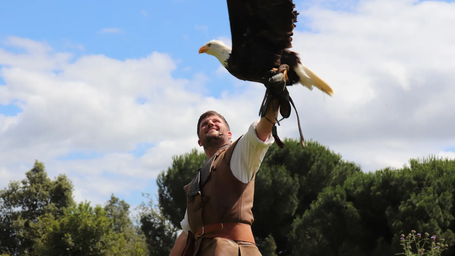 Spectacle de fauconnerie