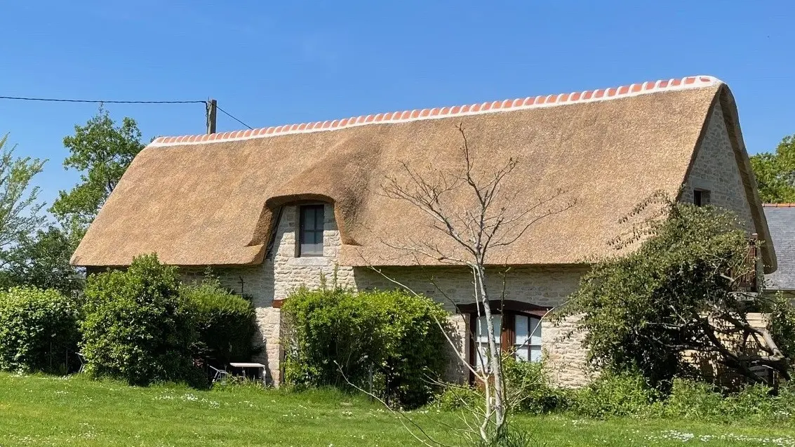 VAN DORSSEN Conrad - Iris - Plomeur - Pays bigouden