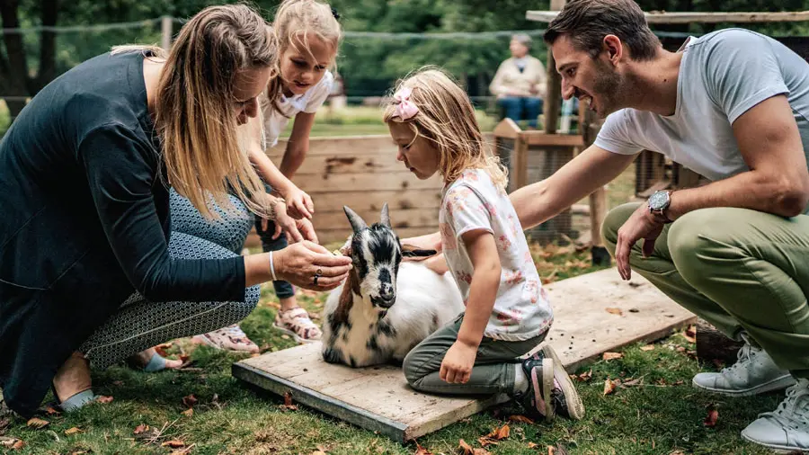 Parc de loisirs de l'Orangerie de Lanniron à Quimper