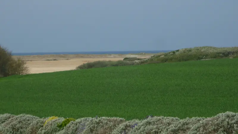 SANCHEZ - Ty Gatik - Tréguennec - Pays Bigouden - 8