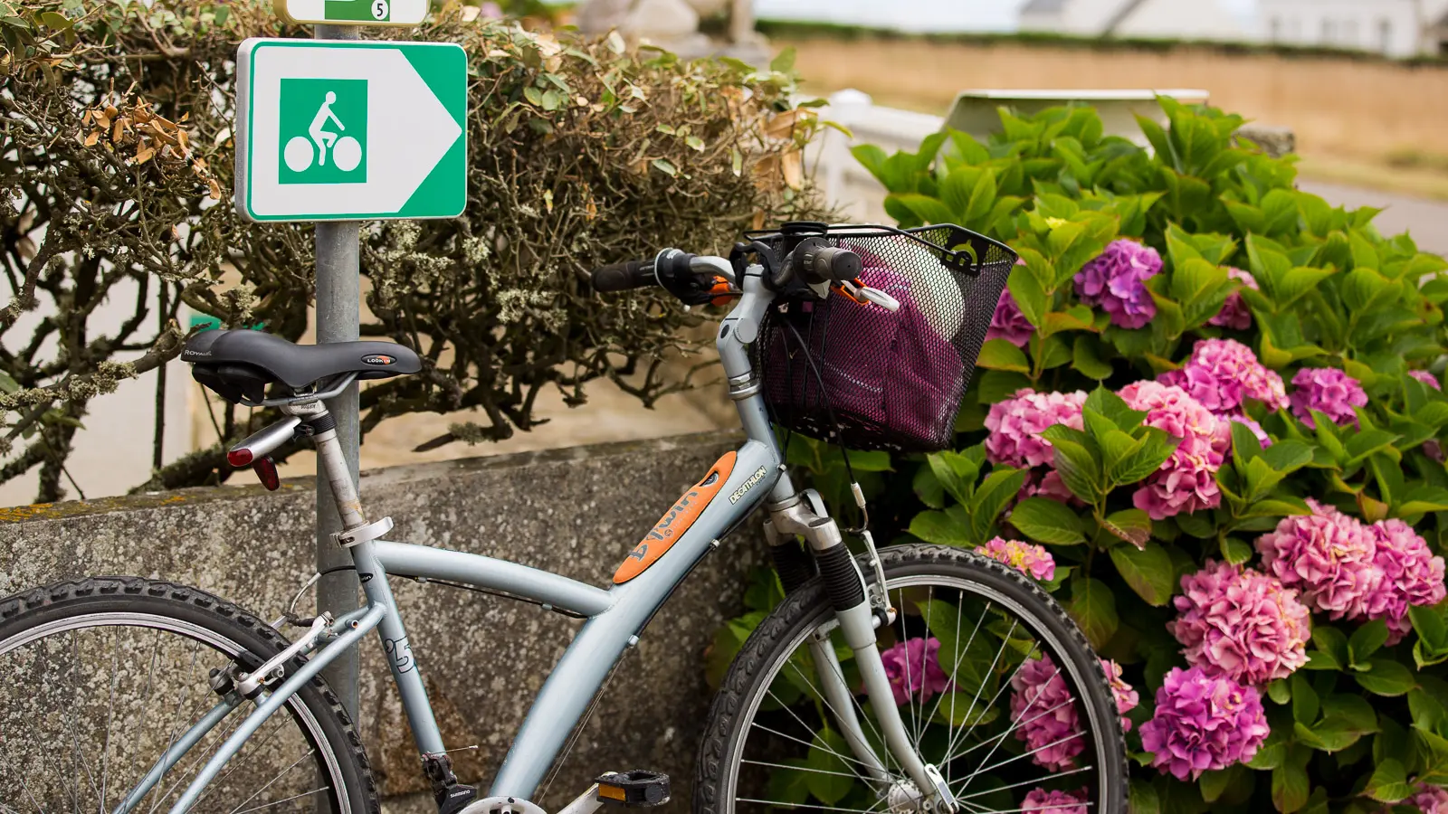 Location de velos - Les enfants de la cote - Landudec - Pays bigouden