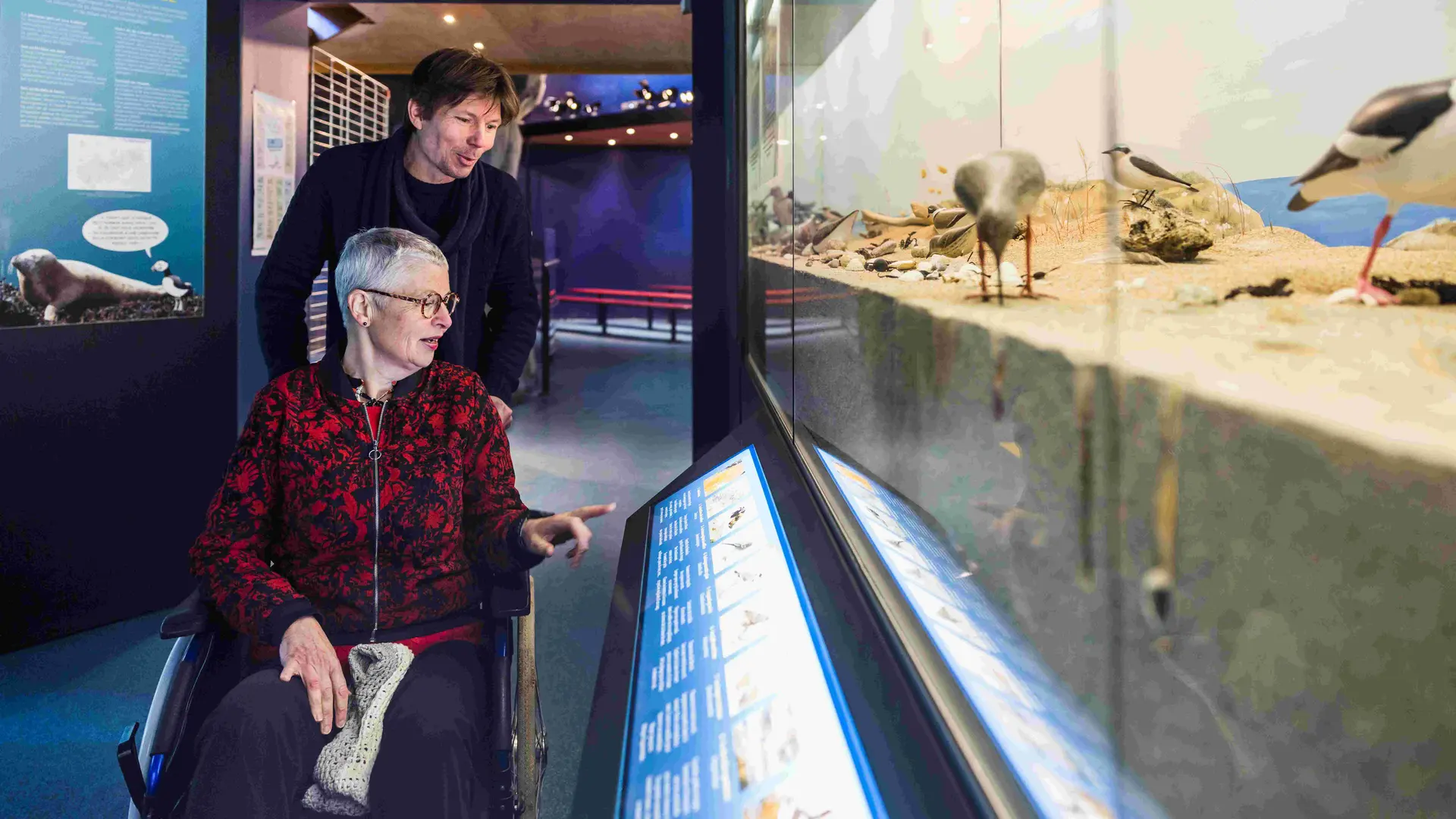 Tourisme et handicap