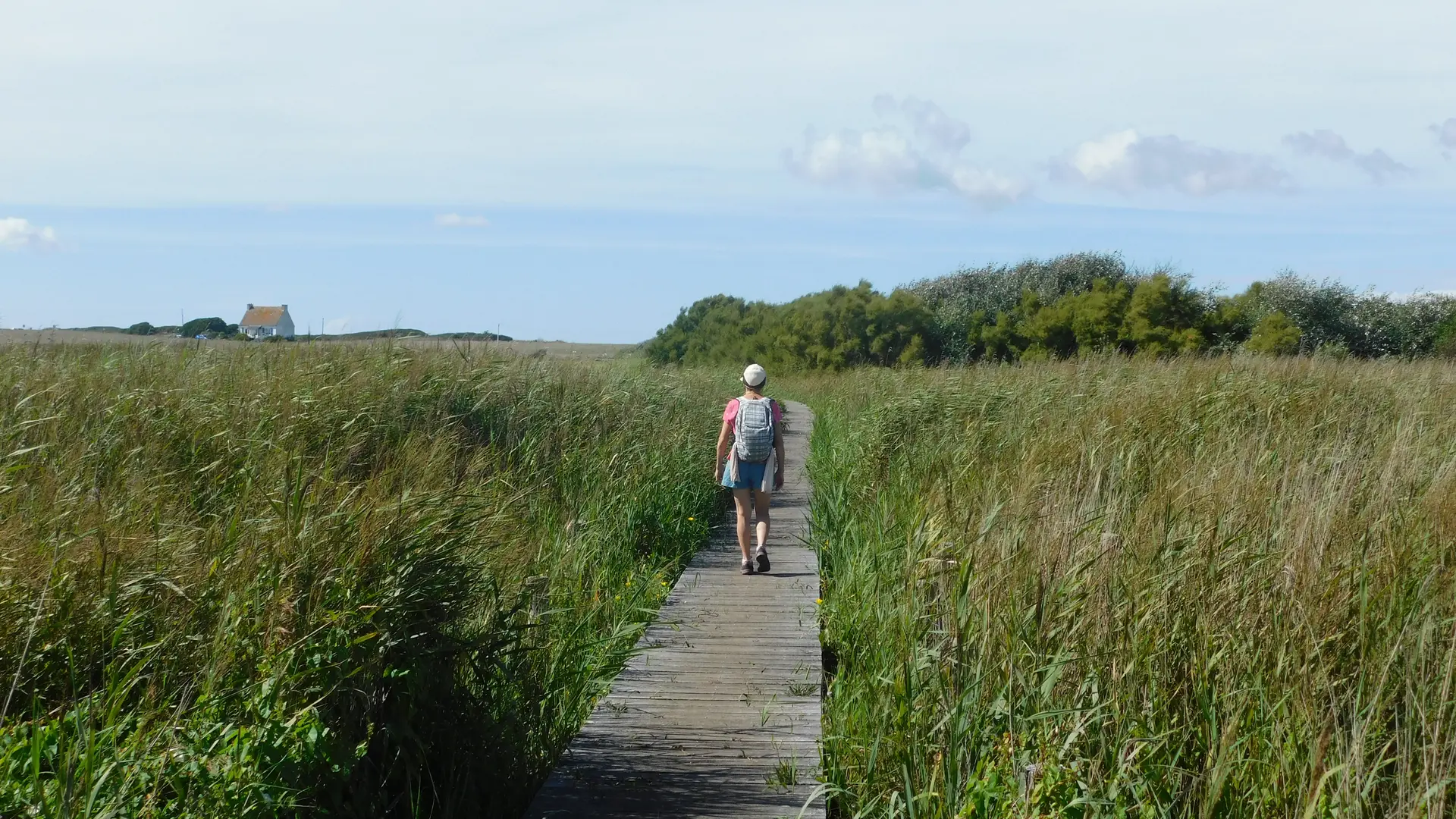 Ahimsa-Bien-Être - Bretagne - Lesconil - Pays Bigouden - Bigoudenjoy
