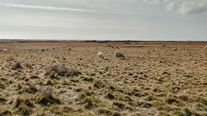 Circuit les trois chapelles - Saint-Jean-Trolimon - Pays Bigouden