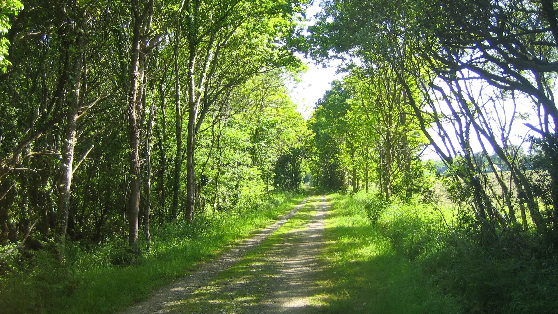 Boucle n°8 de Tréméoc - Tréméoc - Pays Bigouden