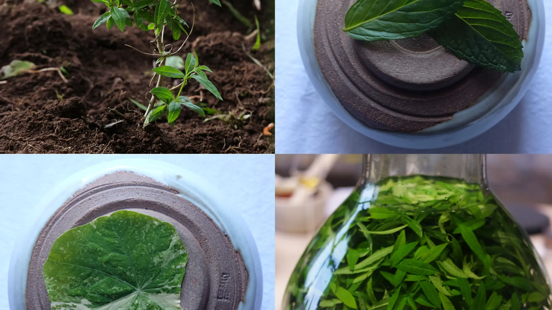 Ty Nevez - boisson spiritueuse