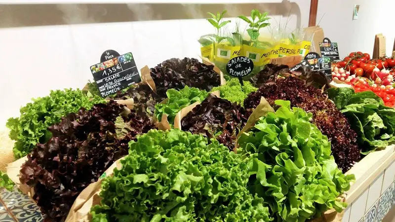 Ty Prod - Pont-l'Abbé - Pays Bigouden - Bigoudenjoy