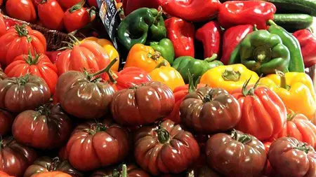 Ty Prod - Pont-l'Abbé - Pays Bigouden - Bigoudenjoy