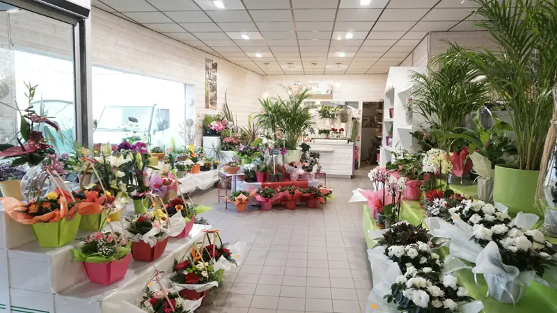 U-Express---Pont-l-Abbe---Pays-Bigouden---2