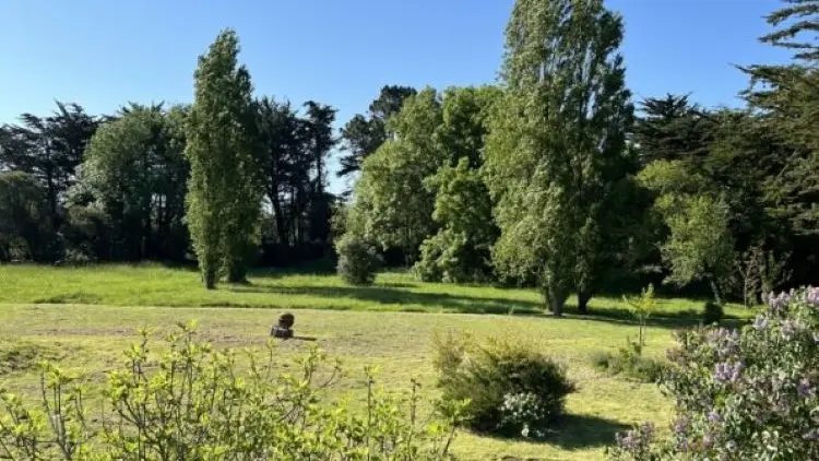 Une chambre à Lestrigiou - Plomeur - Pays bigouden